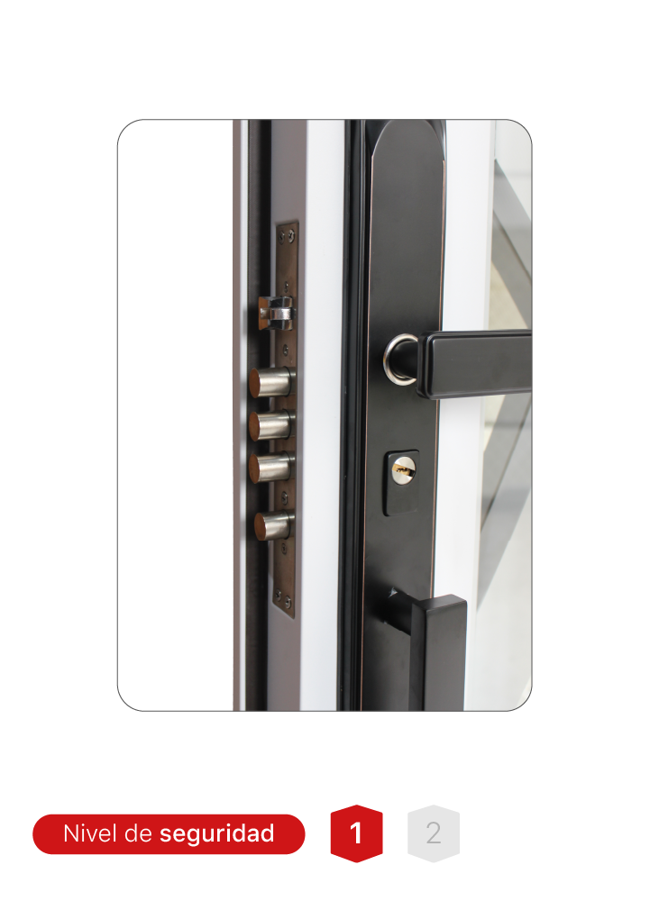 Puerta MR. N725-A con 13 pines de seguridad, bisagras invisibles y vidrio espejo.