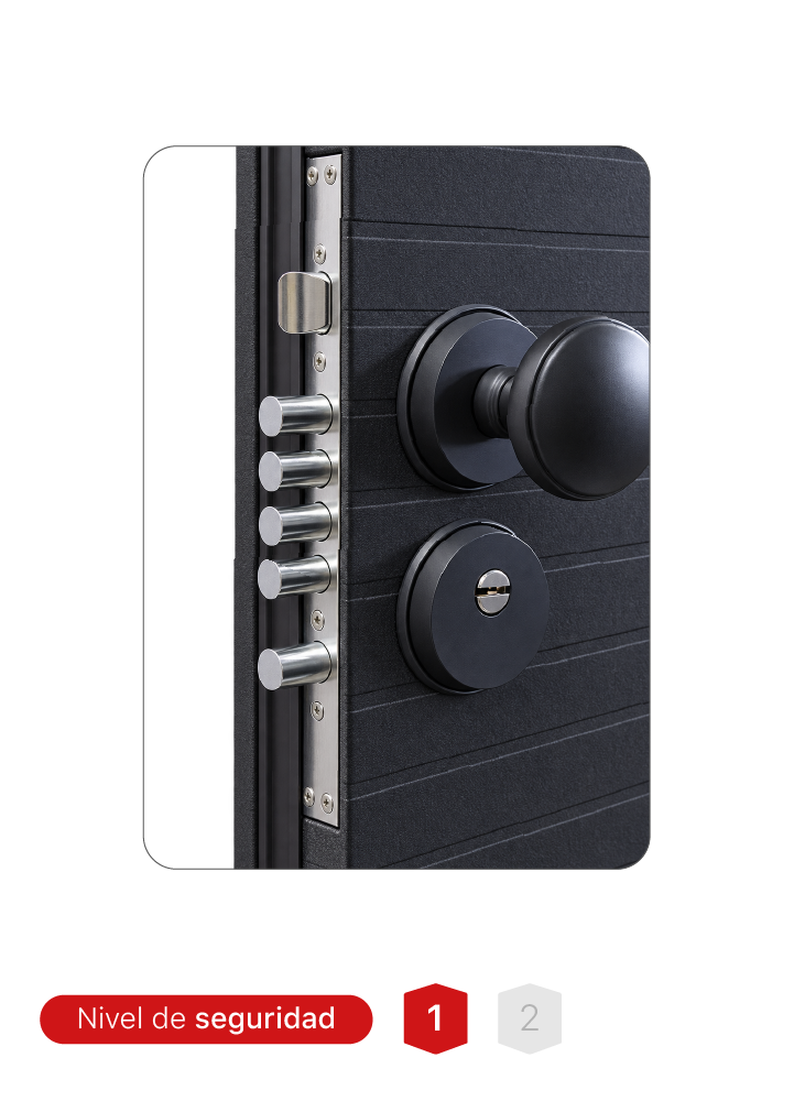 Puerta MR. TL2503 de acero con doble mirilla de 180° y sistema de 16 pines de seguridad.