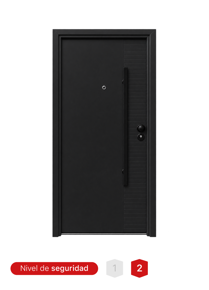 Puerta de seguridad MR. TL2503 negra de acero con acabado mate y 17 pines de seguridad.