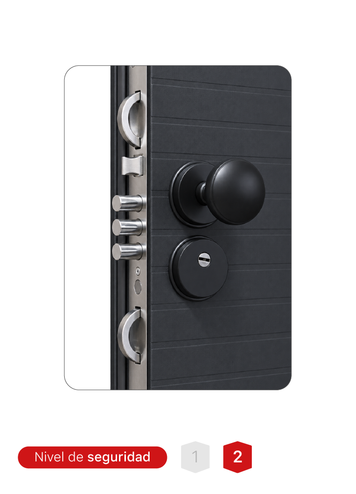 Puerta MR. TL2503-A Negra con Acabado Mate