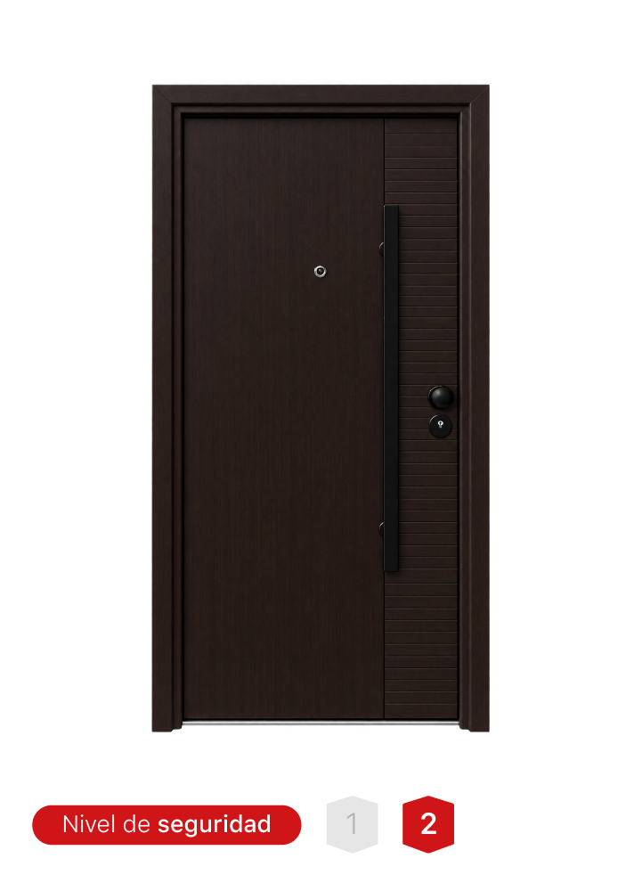 Puerta de seguridad MR. TL2503 color wengue de acero con acabado mate y 17 pines de seguridad.